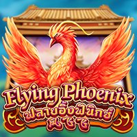 DRAGOONSOFT